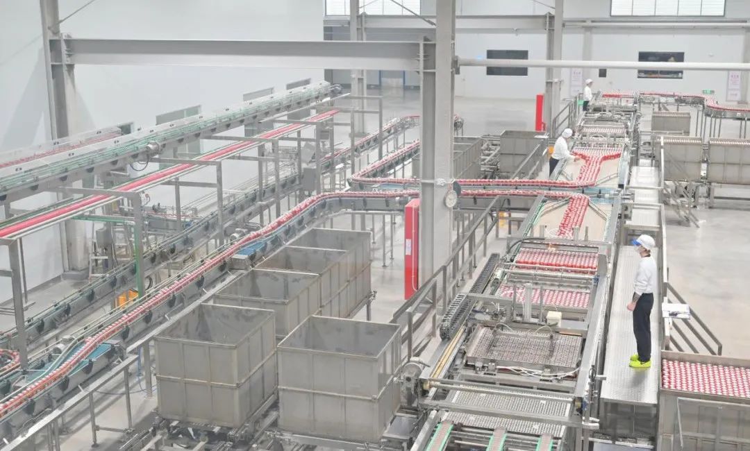 1735547484613418.jpg 1112.jpg