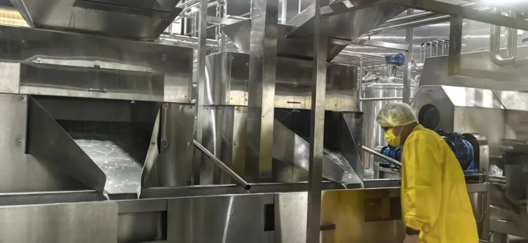 1760509565971227.jpg e.jpg