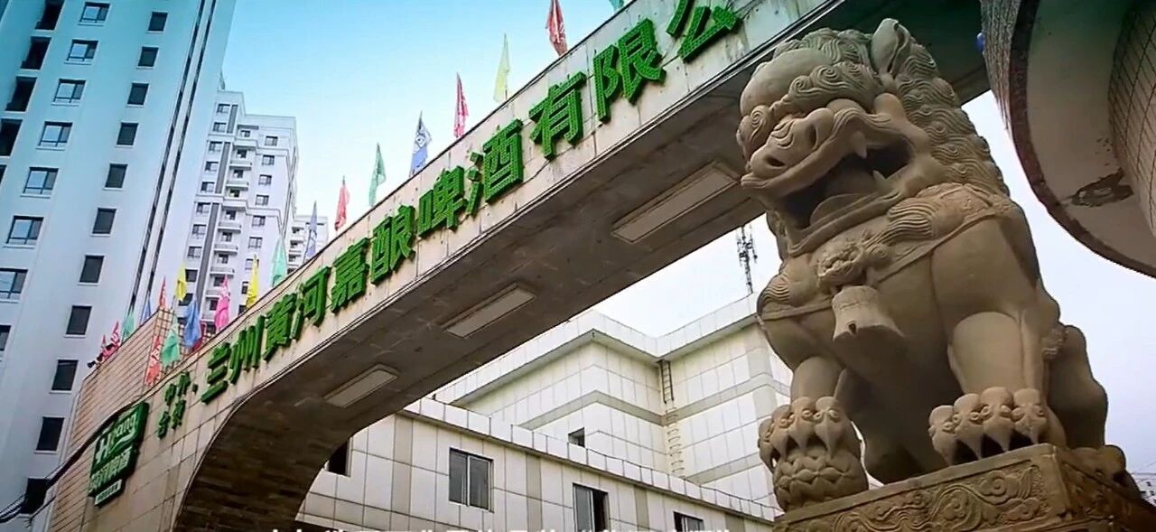 1763108390101757.jpg b2.jpg