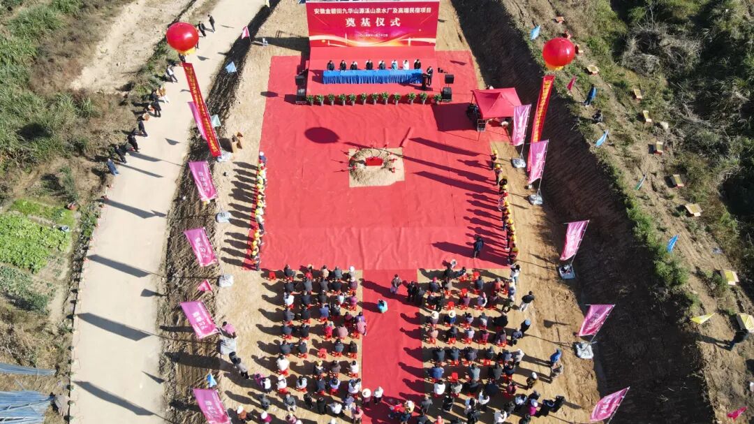 1764315736105686.jpg d1.jpg